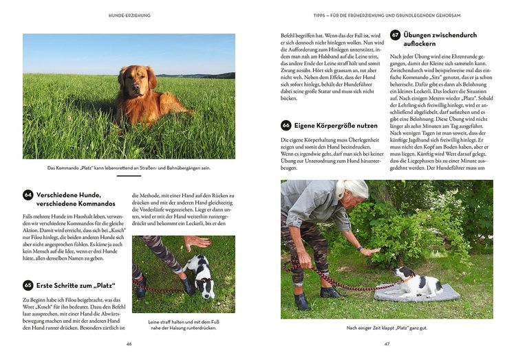 Produktbild: Tipps & Tricks f&uuml;r Hundef&uuml;hrer