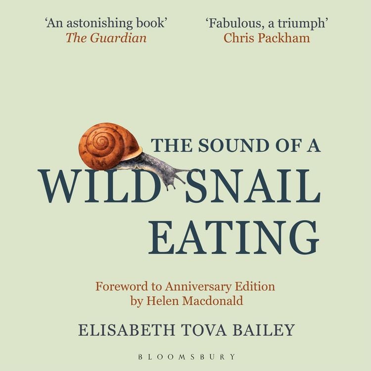 Produktbild: The Sound of a Wild Snail Eating