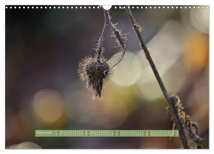 Produktbild: Zauber des Lichts (Wandkalender 2026 DIN A3 quer), CALVENDO Monatskalender