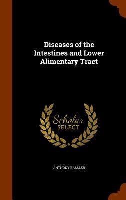 Produktbild: Diseases of the Intestines and Lower Alimentary Tract