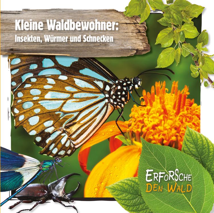 Produktbild: Kleine Waldbewohner: Insekten, W&uuml;rmer und Schnecken