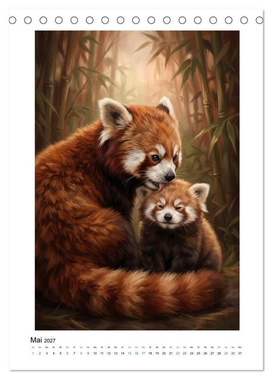 Produktbild: Rote Pandas &ndash; Pure Lebensfreude auf leisen Sohlen (Tischkalender 2027 DIN A5 hoch), CALVENDO Monatskalender