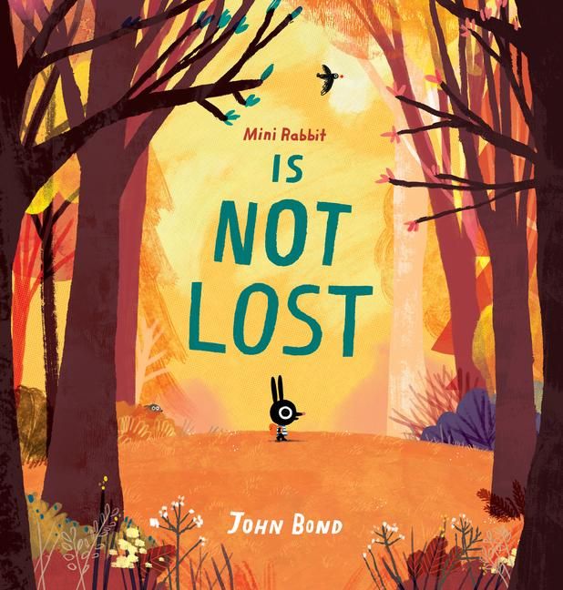 Produktbild: Mini Rabbit Is Not Lost