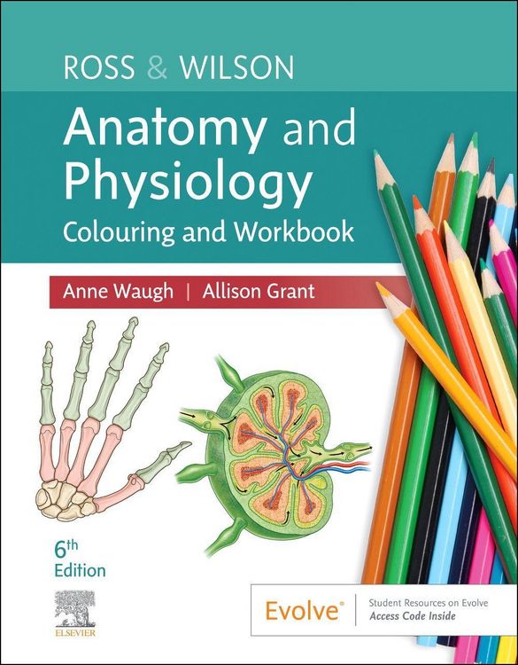 Produktbild: Ross & Wilson Anatomy and Physiology Colouring and Workbook