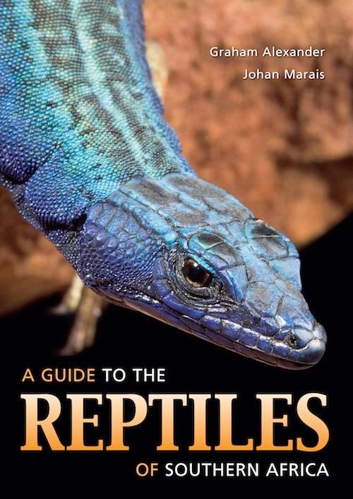 Produktbild: A Guide to the Reptiles of Southern Africa