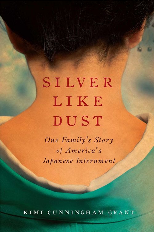 Produktbild: Silver Like Dust