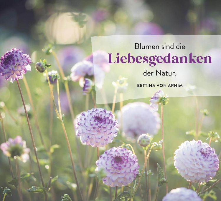 Produktbild: Ein Meer aus Bl&uuml;ten