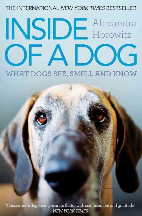 Produktbild: Inside of a Dog