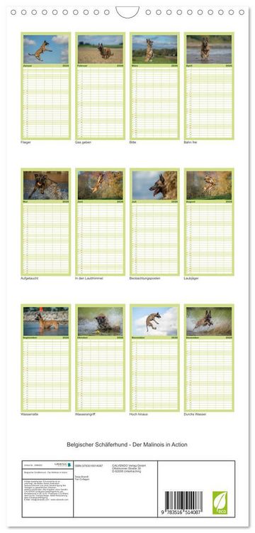 Produktbild: Familienplaner 2026 - Belgischer Sch&auml;ferhund - Der Malinois in Action mit 5 Spalten (Wandkalender, 21 x 45 cm) CALVENDO