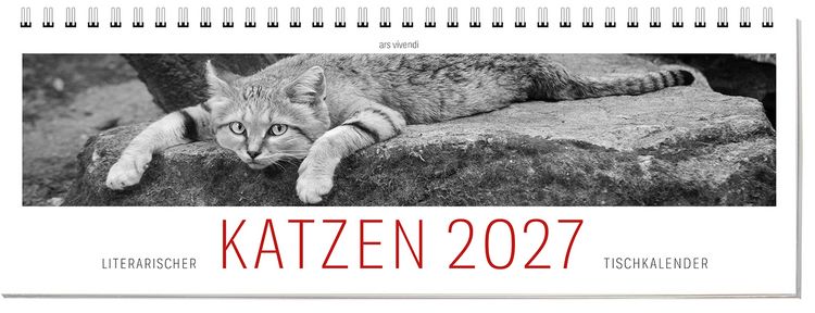Produktbild: Tischkalender Katzen 2027