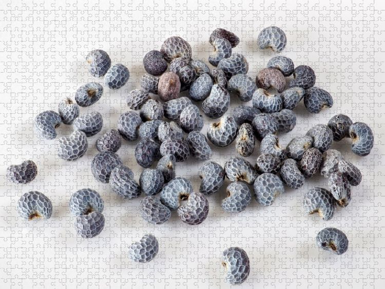 Produktbild: CALVENDO Puzzle Blaumohn | 1000 Teile Lege-Gr&ouml;&szlig;e 64x48cm Foto-Puzzle f&uuml;r gl&uuml;ckliche Stunden