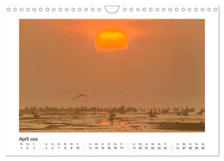 Produktbild: FEHMARN - Magische Momente (Wandkalender 2026 DIN A4 quer), CALVENDO Monatskalender