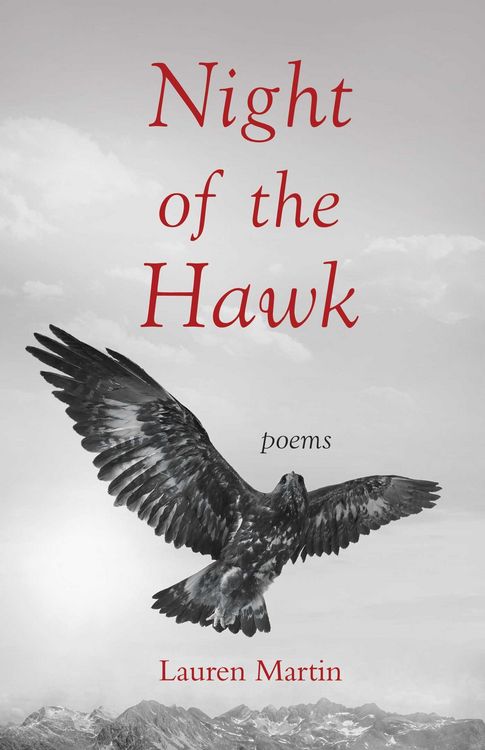 Produktbild: Night of the Hawk
