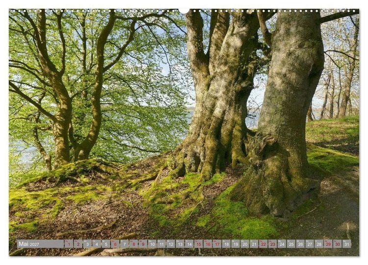 Produktbild: Am sch&ouml;nsten Uferabschnitt der Schlei (hochwertiger Premium Wandkalender 2027 DIN A2 quer), Kunstdruck in Hochglanz
