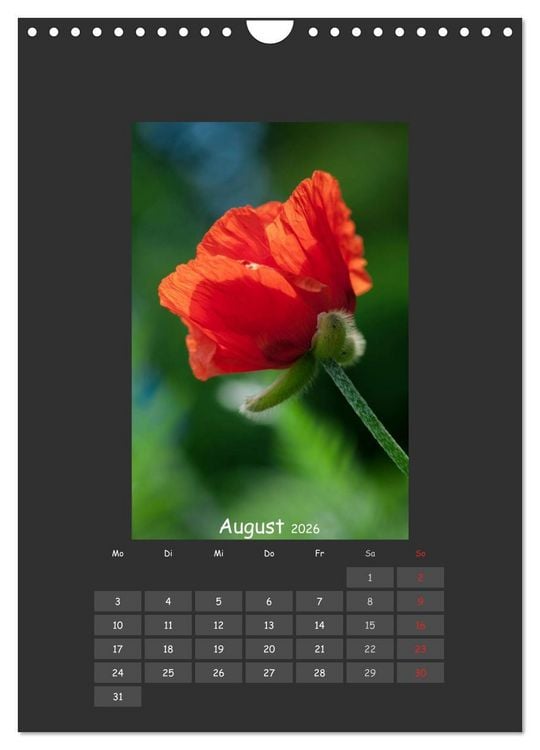 Produktbild: Mohn (Wandkalender 2026 DIN A4 hoch), CALVENDO Monatskalender