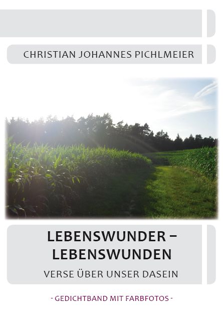 Produktbild: Lebenswunder - Lebenswunden