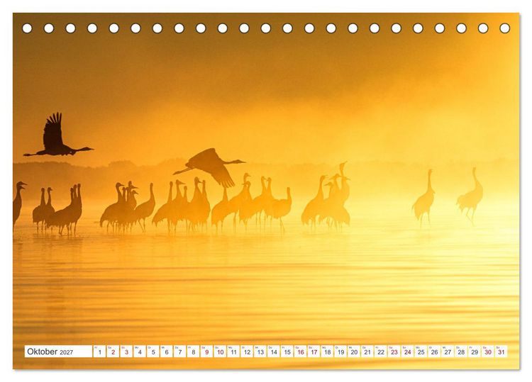 Produktbild: Natur und Tierparadies (Tischkalender 2027 DIN A5 quer), CALVENDO Monatskalender