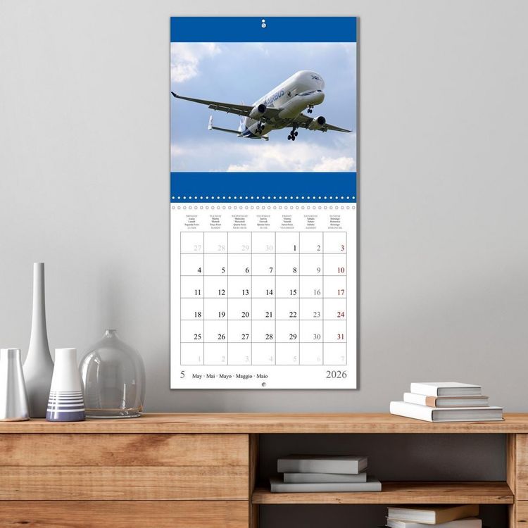 Produktbild: Gayde, F: Airplanes in the blue sky (Wall Calendar 2026 12 &times;