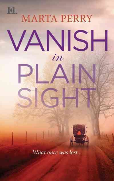 Produktbild: Vanish in Plain Sight