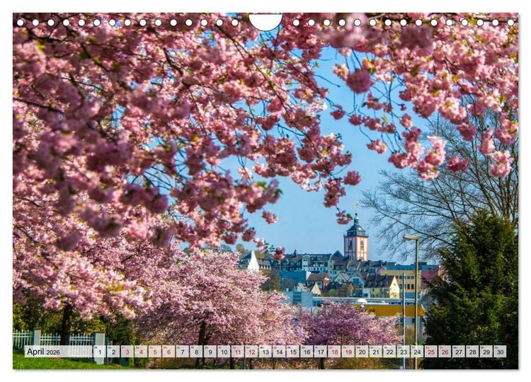 Produktbild: SIEGEN Stadt auf acht Bergen (Wandkalender 2026 DIN A4 quer), CALVENDO Monatskalender