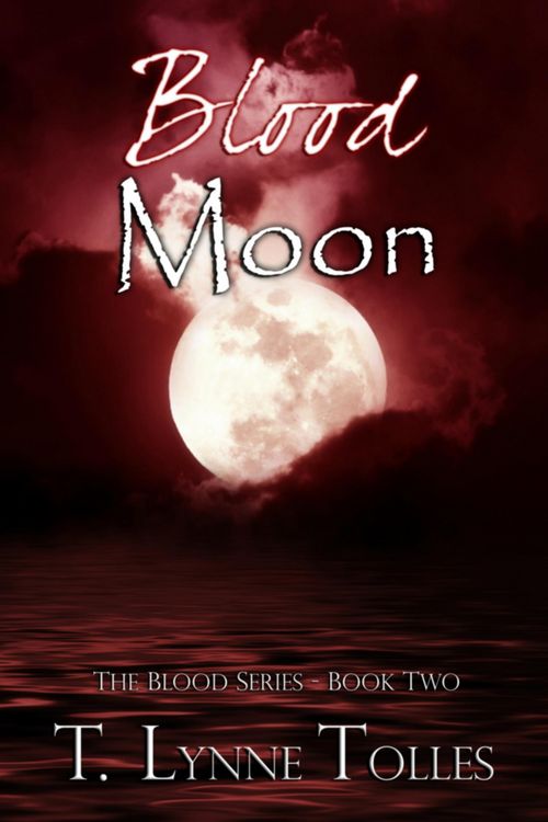 Produktbild: Blood Moon (Book 2 in Blood Series)