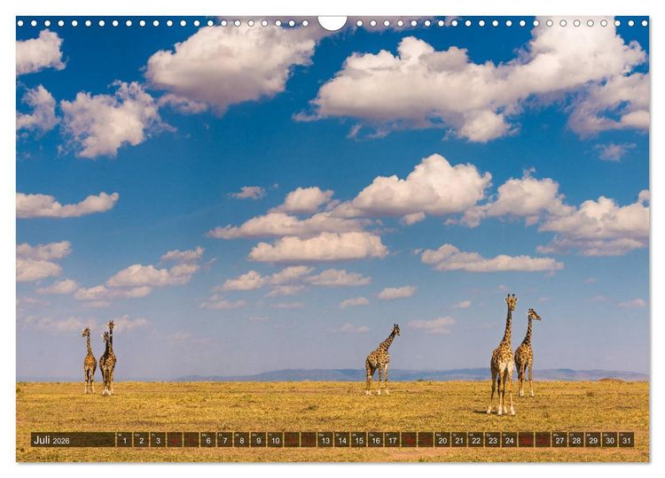 Produktbild: Auf Safari in Kenia 2026 (Wandkalender 2026 DIN A3 quer), CALVENDO Monatskalender
