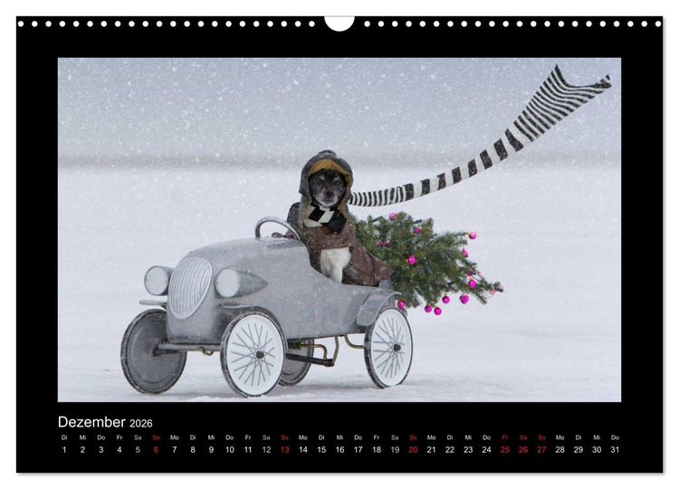 Produktbild: Jack Russell Terrier.....Ein Verwandlungsk&uuml;nstler namens Jake (Wandkalender 2026 DIN A3 quer), CALVENDO Monatskalender