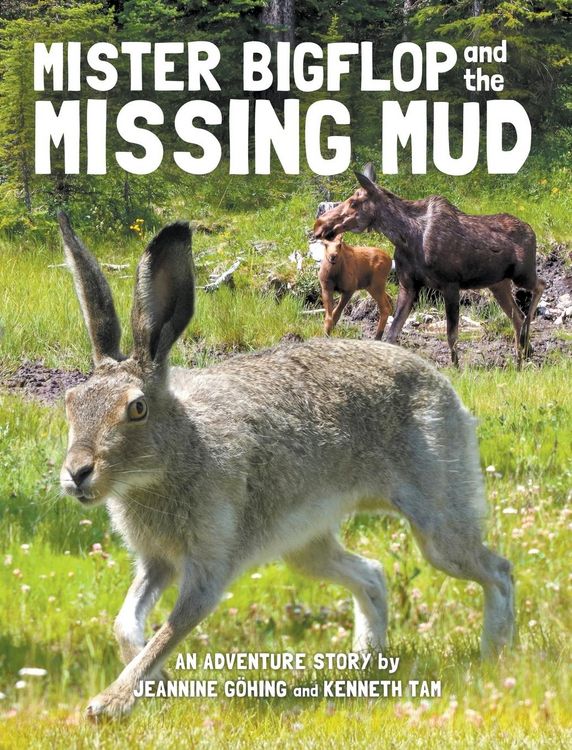 Produktbild: Mister Bigflop and the Missing Mud