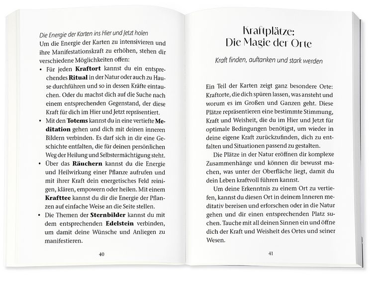Produktbild: Das heilende Orakel der Rauhn&auml;chte