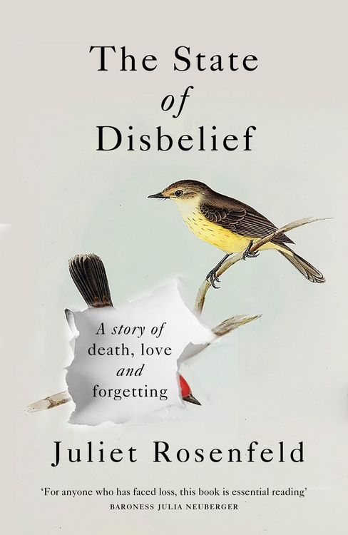 Produktbild: The State of Disbelief
