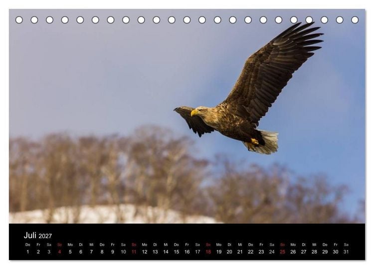 Produktbild: Seeadler - K&ouml;nige der L&uuml;fte (Tischkalender 2027 DIN A5 quer), CALVENDO Monatskalender
