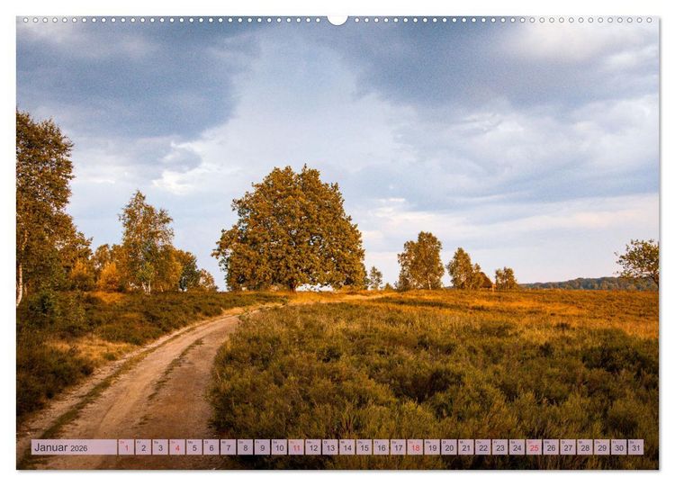 Produktbild: Wunderbare Heidelandschaften (hochwertiger Premium Wandkalender 2026 DIN A2 quer), Kunstdruck in Hochglanz