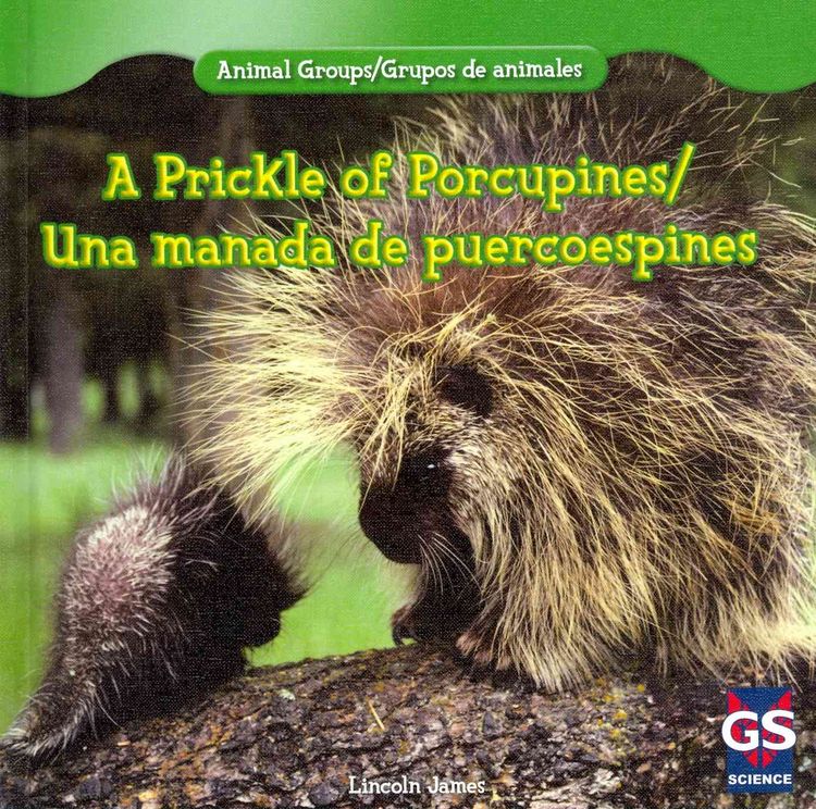 Produktbild: A Prickle of Porcupines/Una Manada de Puercoespines