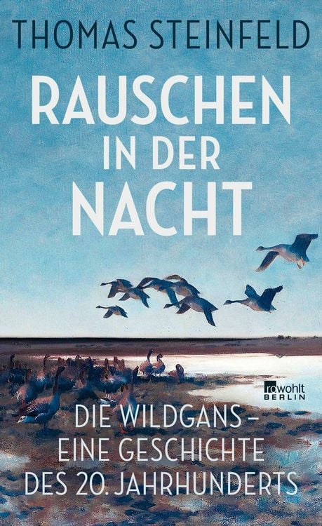 Produktbild: Rauschen in der Nacht