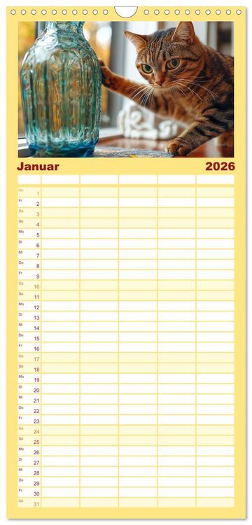 Produktbild: Familienplaner 2026 - Momente eines Katzenbesitzers - Chaos der Samtpfoten mit 5 Spalten (Wandkalender, 21 x 45 cm) CALVENDO