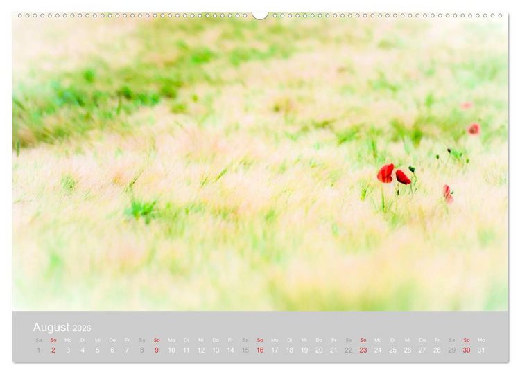 Produktbild: Zauber des Mohns (Wandkalender 2026 DIN A2 quer), CALVENDO Monatskalender