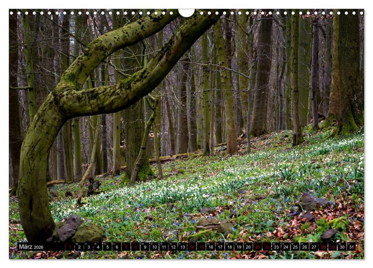 Produktbild: Die Rh&ouml;n (Wandkalender 2026 DIN A3 quer), CALVENDO Monatskalender