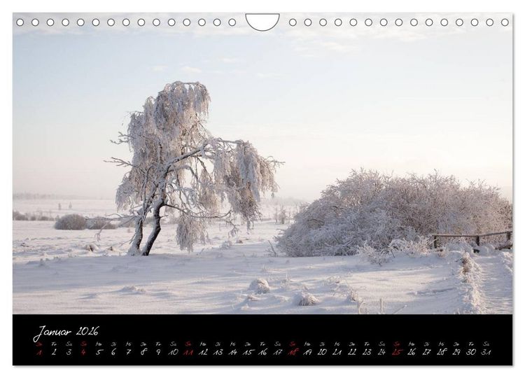Produktbild: Hochmoor Hohes Venn (Wandkalender 2026 DIN A4 quer), CALVENDO Monatskalender
