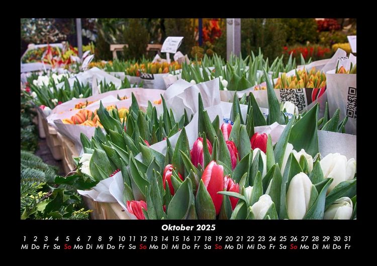 Produktbild: Blumentr&auml;ume 2025 Fotokalender DIN A3