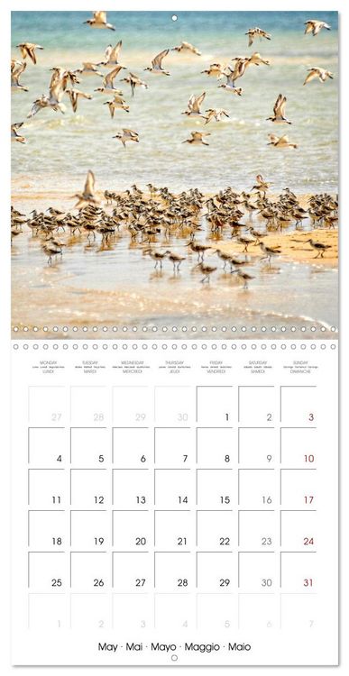 Produktbild: Destination Lamu (Wall Calendar 2026 12 &times; 12 Inch) CALVENDO 12 Month Wall Calendar