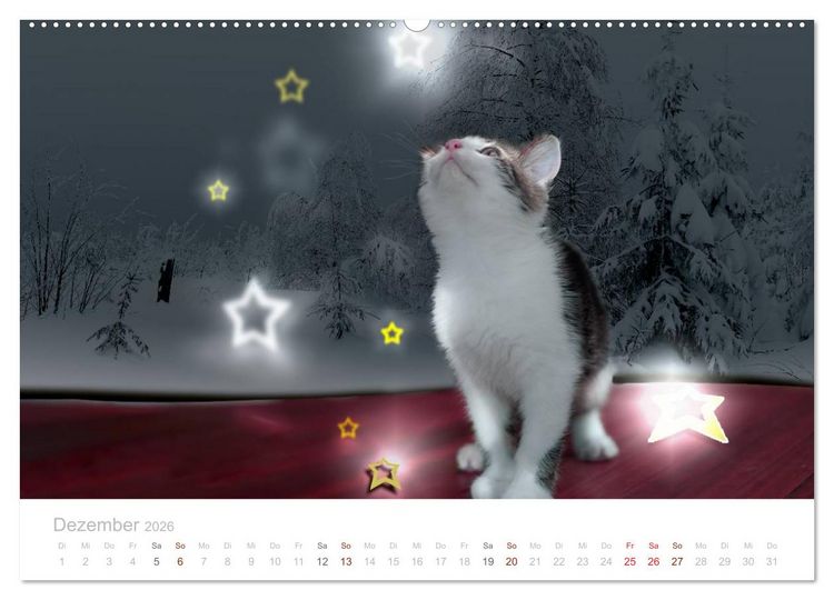 Produktbild: Katzenbabys beobachtet (hochwertiger Premium Wandkalender 2026 DIN A2 quer), Kunstdruck in Hochglanz