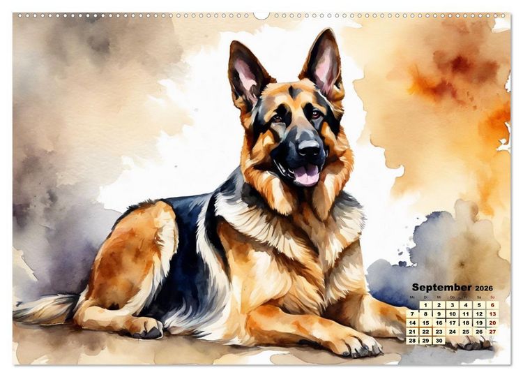 Produktbild: Deutsche Sch&auml;ferhunde - Klassiker rund um den Globus (hochwertiger Premium Wandkalender 2026 DIN A2 quer), Kunstdruck in Hochglanz