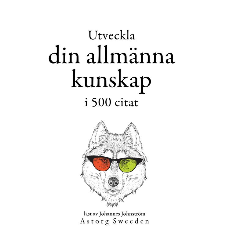 Produktbild: Utveckla din allm&auml;nna kunskap i 500 offerter