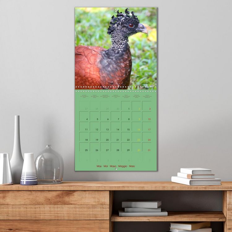 Produktbild: Douze oiseaux de la capitale du Costa Rica (Calendrier mural carr&eacute; 2026 30x30 cm) Calendrier double avec une page pour vos prises de notes