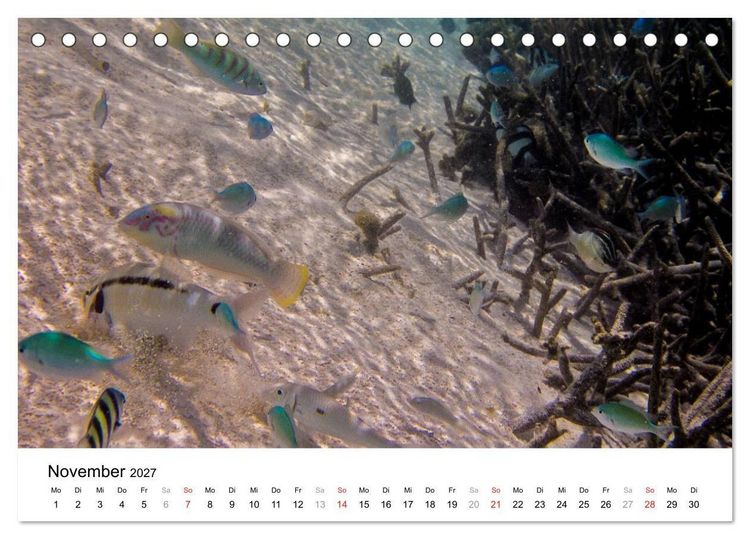 Produktbild: Unterwasserwelt der Malediven II (Tischkalender 2027 DIN A5 quer), CALVENDO Monatskalender