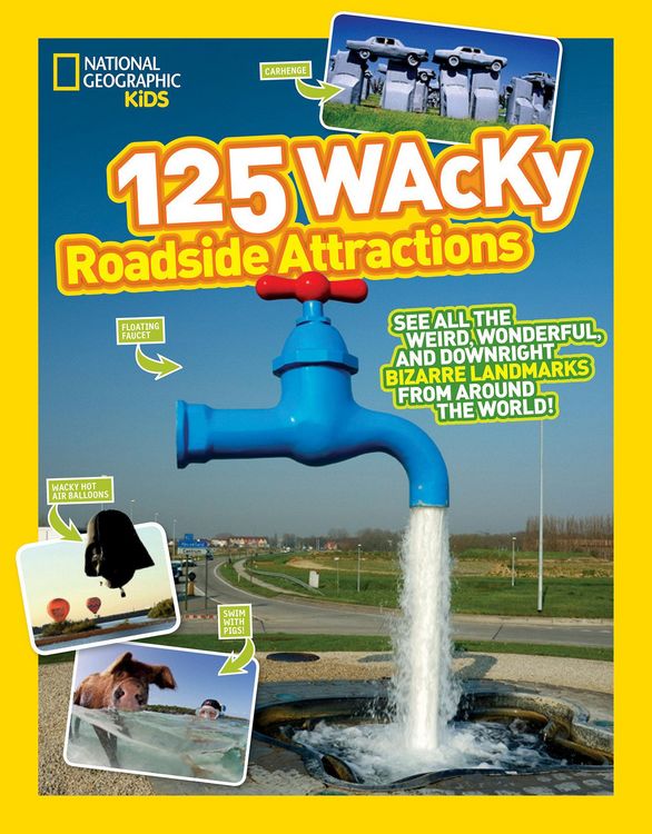 Produktbild: 125 Wacky Roadside Attractions