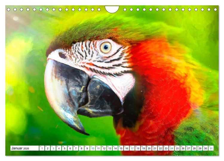 Produktbild: Papageien und Sittiche - Kunstbilder (Wandkalender 2026 DIN A4 quer), CALVENDO Monatskalender