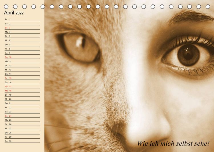 Produktbild: Unsere Katzen. Wie sie wirklich sind! (Tischkalender 2022 DIN A5 quer)
