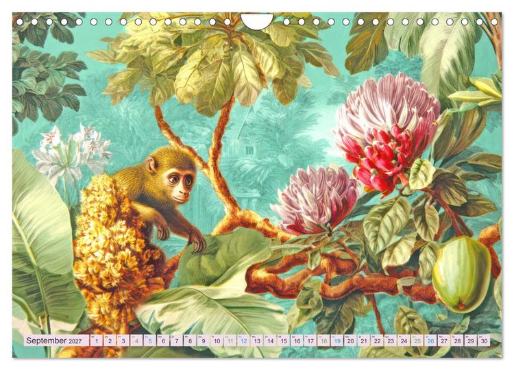 Produktbild: Exotische Pflanzenwelt - Illustrationen (Wandkalender 2027 DIN A4 quer), CALVENDO Monatskalender