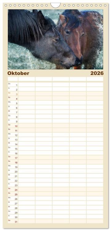 Produktbild: Familienplaner 2026 - Pferde zum Tr&auml;umen mit 5 Spalten (Wandkalender, 21 x 45 cm) CALVENDO
